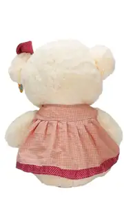 Elbiseli Peluş Ayı 50 cm 4