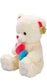Kalpli Peluş Ayı 45 Cm 3
