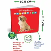Diytoy İlk Kütüphanem İlk Sözcükler 8li Kitap Seti - Eğitici Öğretici Oyuncak 3