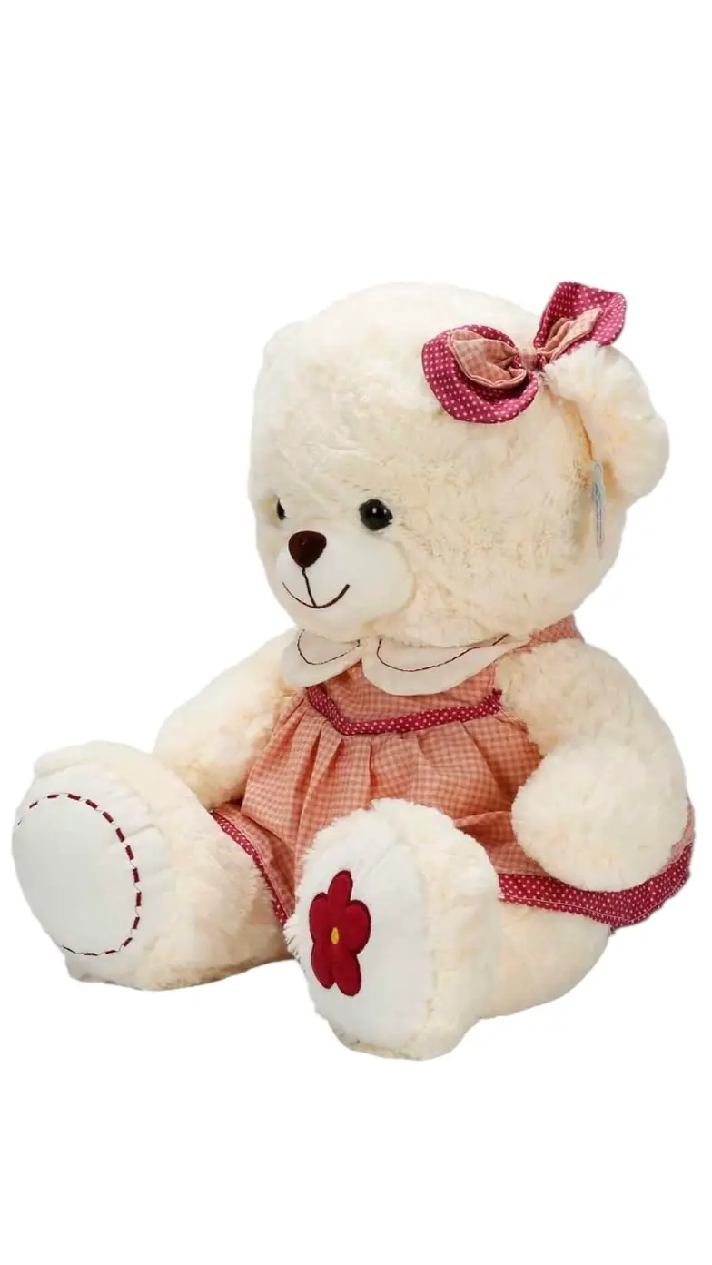 Elbiseli Peluş Ayı 50 cm 3