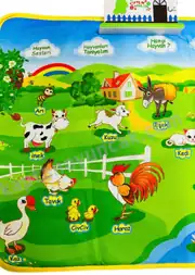 Birlik Eğitici Ali Baba Çiftlik Oyun Halısı 3