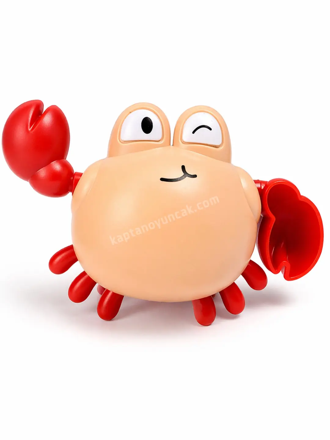 Suda Yüzebilen Kurmalı Yüzen Yengeç 4