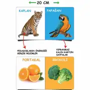 Diytoy İlk Kütüphanem İlk Sözcükler 8li Kitap Seti - Eğitici Öğretici Oyuncak 4