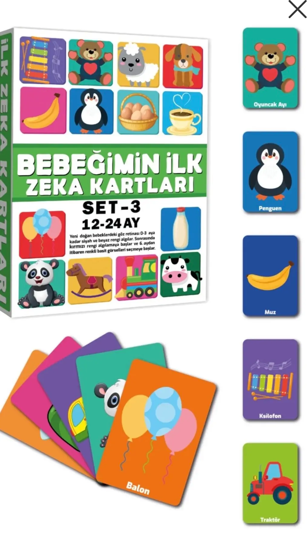 Bebeğimin İlk Zeka Kartları 12-24 Ay