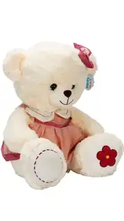 Elbiseli Peluş Ayı 50 cm 2