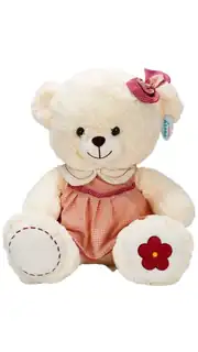 Elbiseli Peluş Ayı 50 cm 1